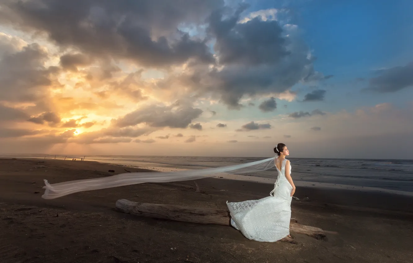 Photo wallpaper sea, girl, the wind, shore, dress