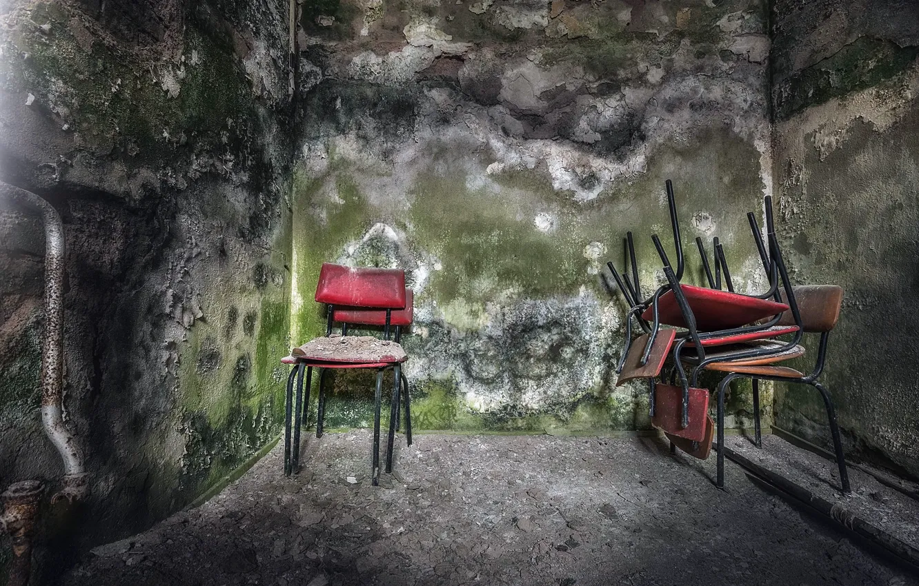 Photo wallpaper room, wall, chair