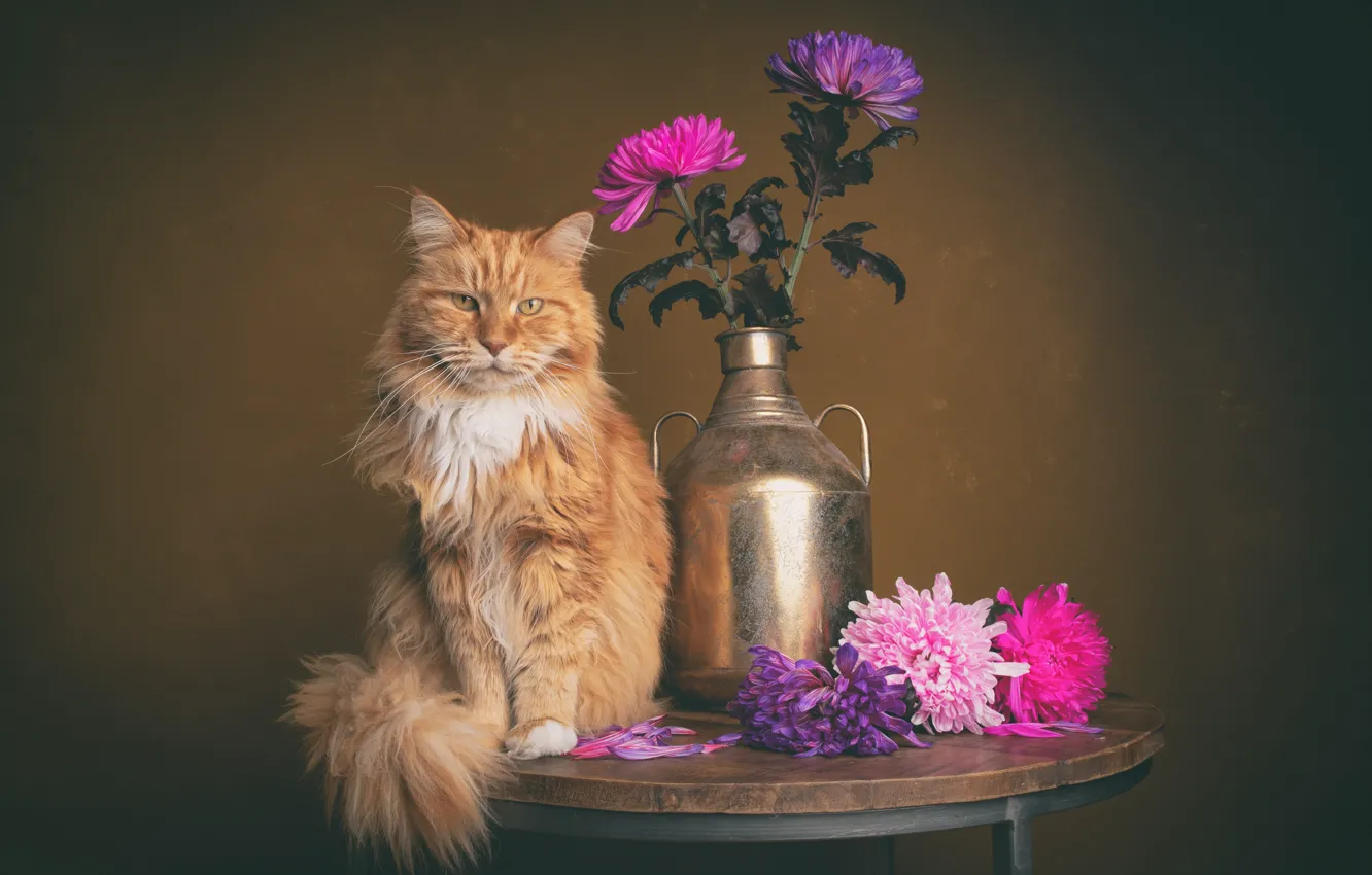 Photo wallpaper cat, cat, bouquet