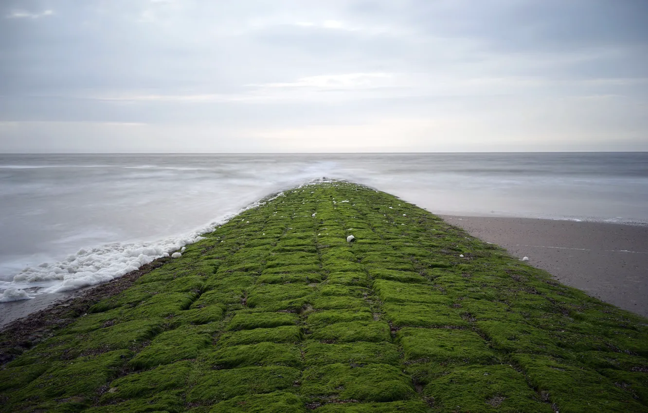 Photo wallpaper sea, shore, moss