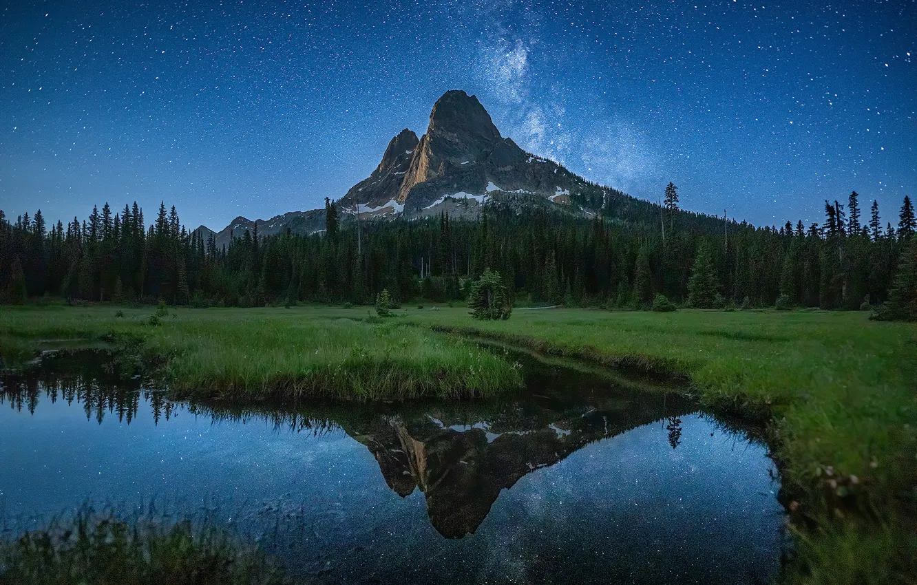Photo wallpaper forest, grass, stars, mountains, night, lake, reflection, blue