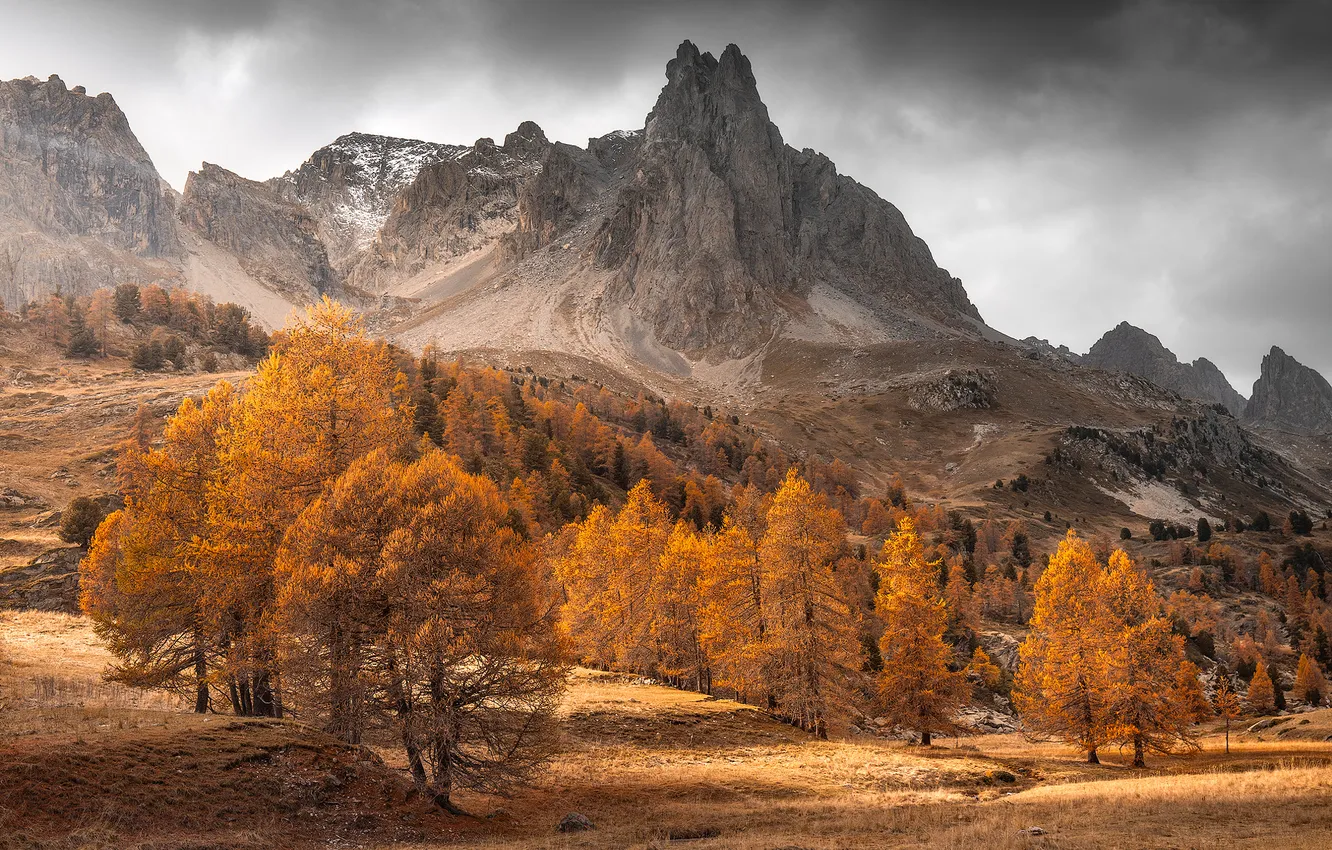Photo wallpaper autumn, forest, mountains, nature