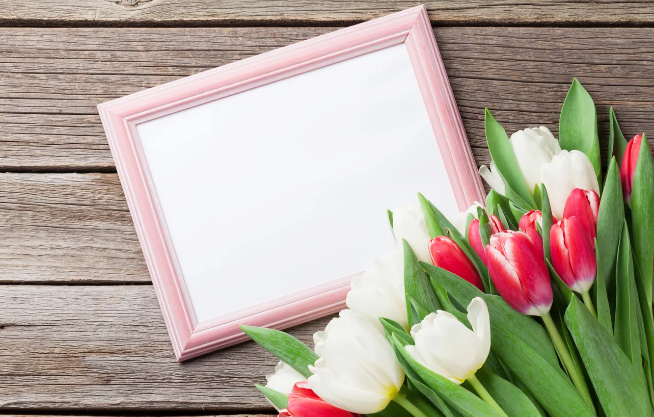 Photo wallpaper flowers, bouquet, tulips, red, white, wood, flowers, tulips
