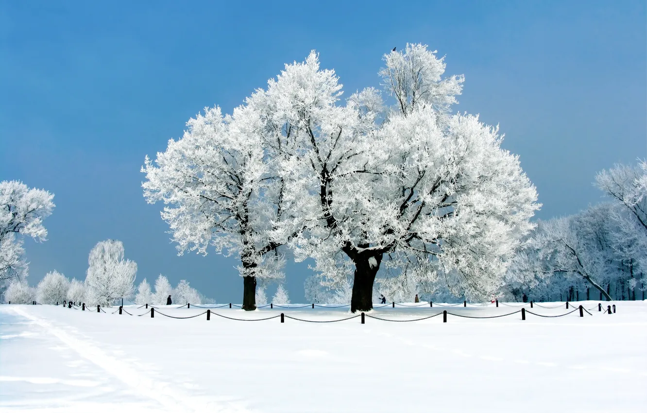 Photo wallpaper winter, frost, the sky, snow, trees, Park, the fence, track
