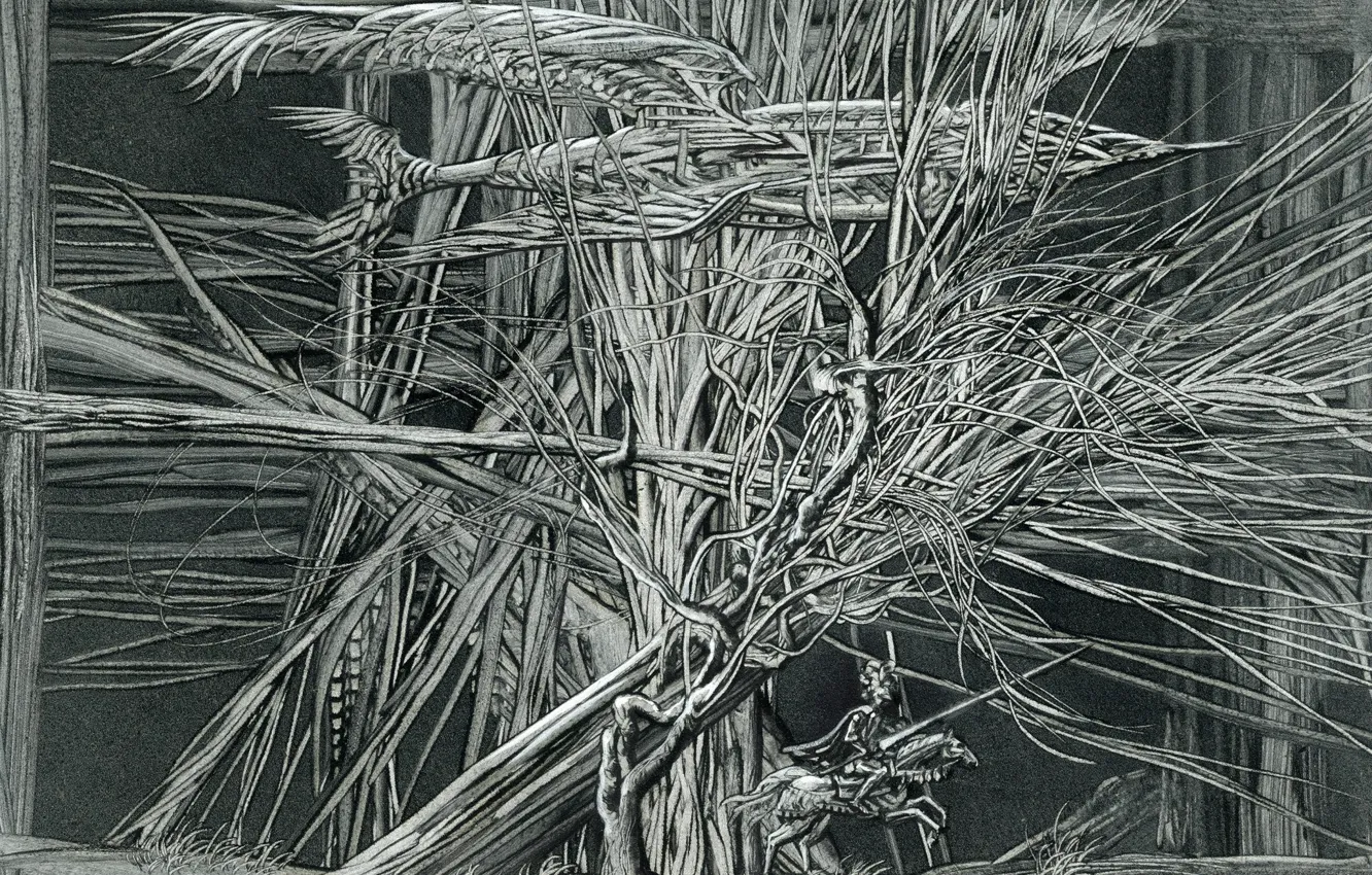 Photo wallpaper Aibek Begalin, Begalieva, Сonfidence, Two thousand thirteen