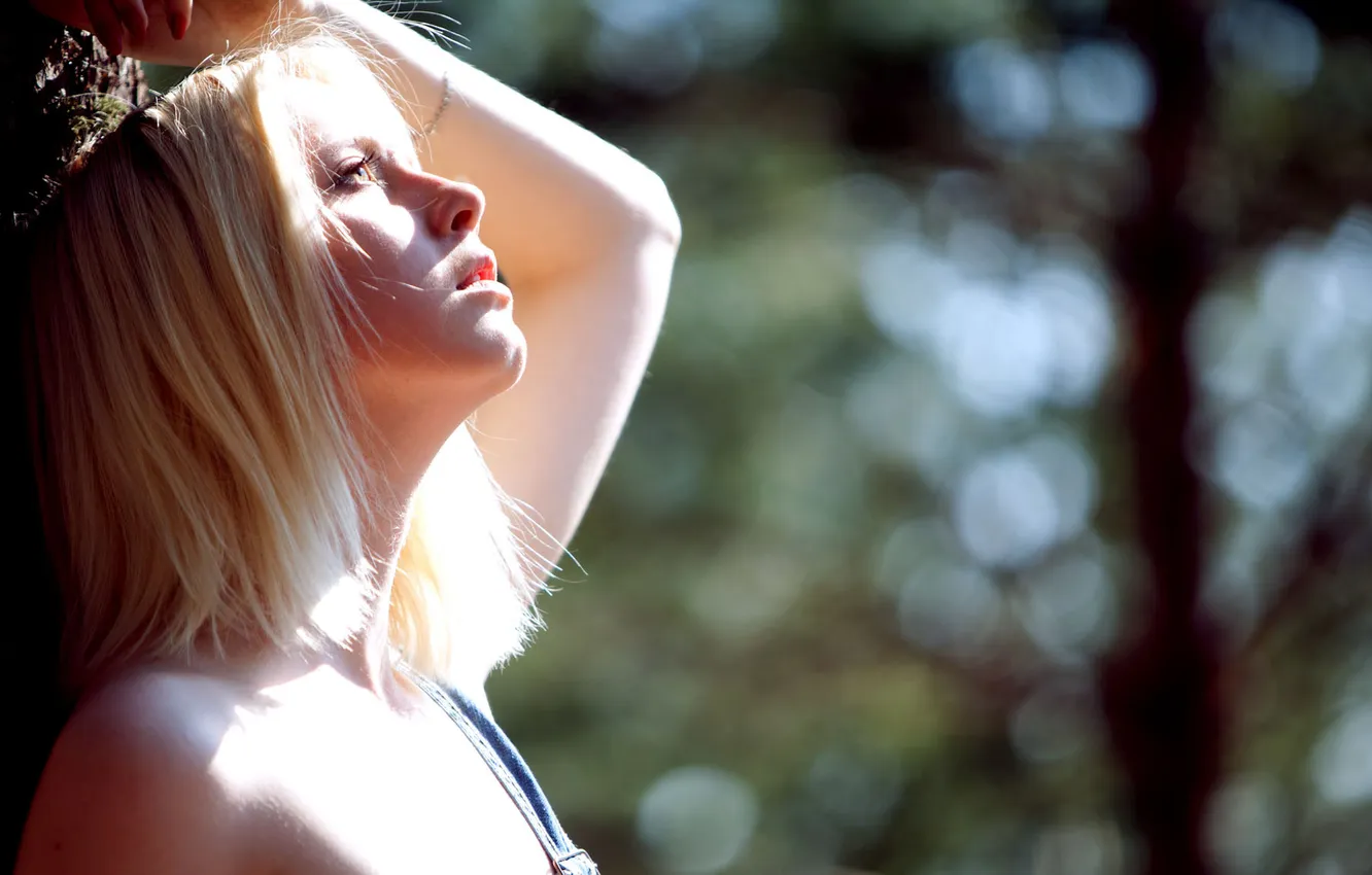 Photo wallpaper forest, look, trees, face, blonde, trunk
