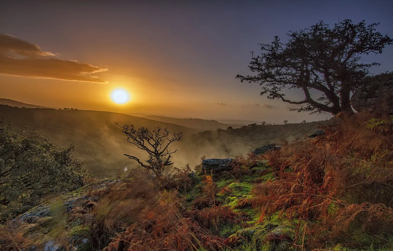 Photo wallpaper landscape, sunset, mountains, fog