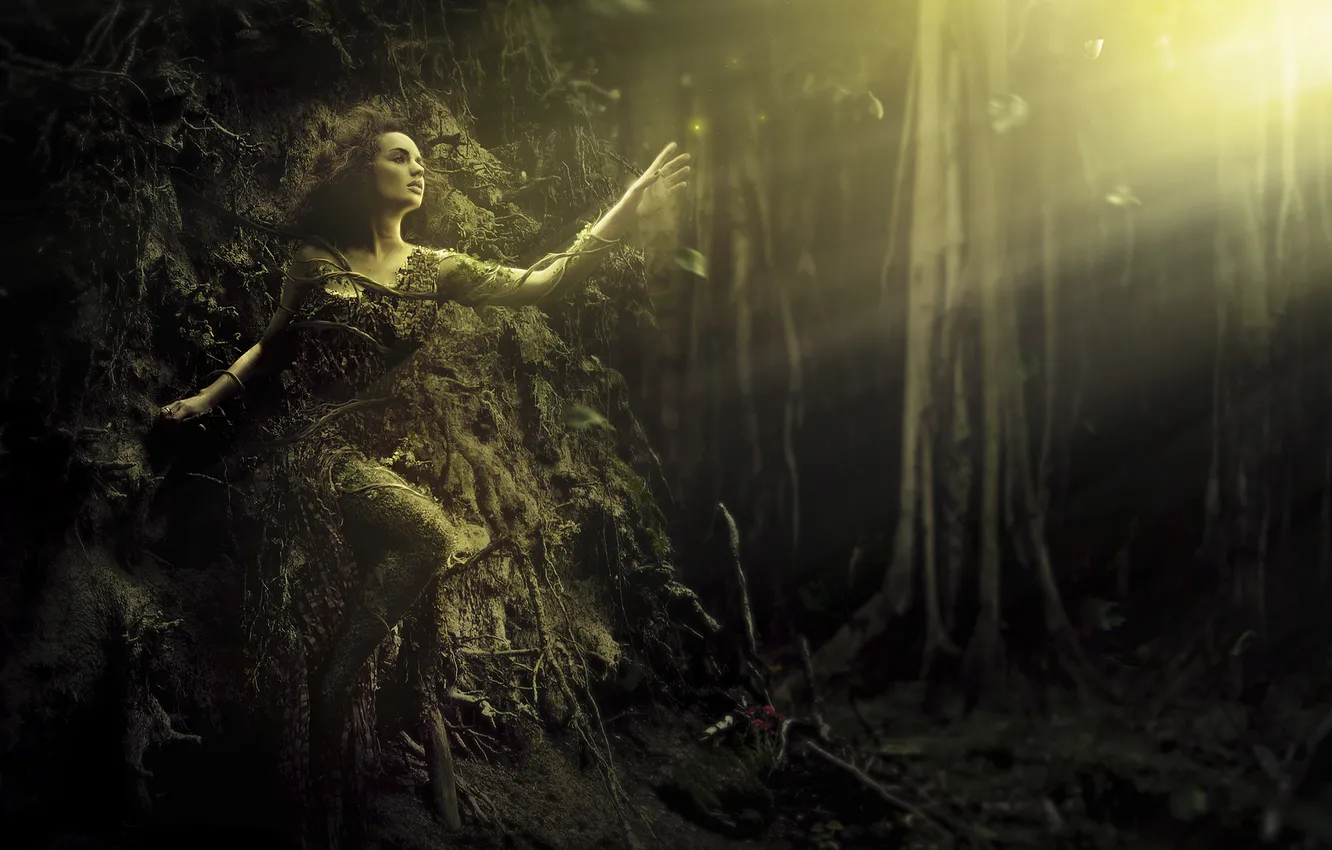 Photo wallpaper forest, girl, the sun, rays, light, trees, roots, fantasy