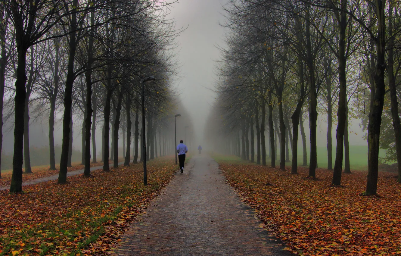 Photo wallpaper autumn, fog, Park, people, morning, lights, run