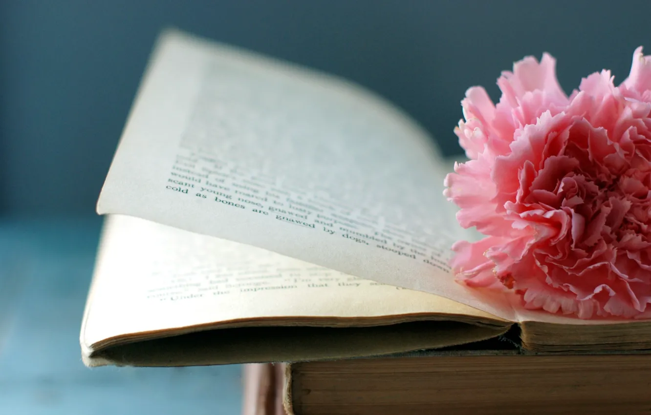 Photo wallpaper macro, flowers, book, page