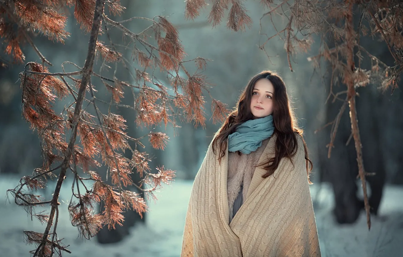Photo wallpaper winter, girl, spruce forest, shawl
