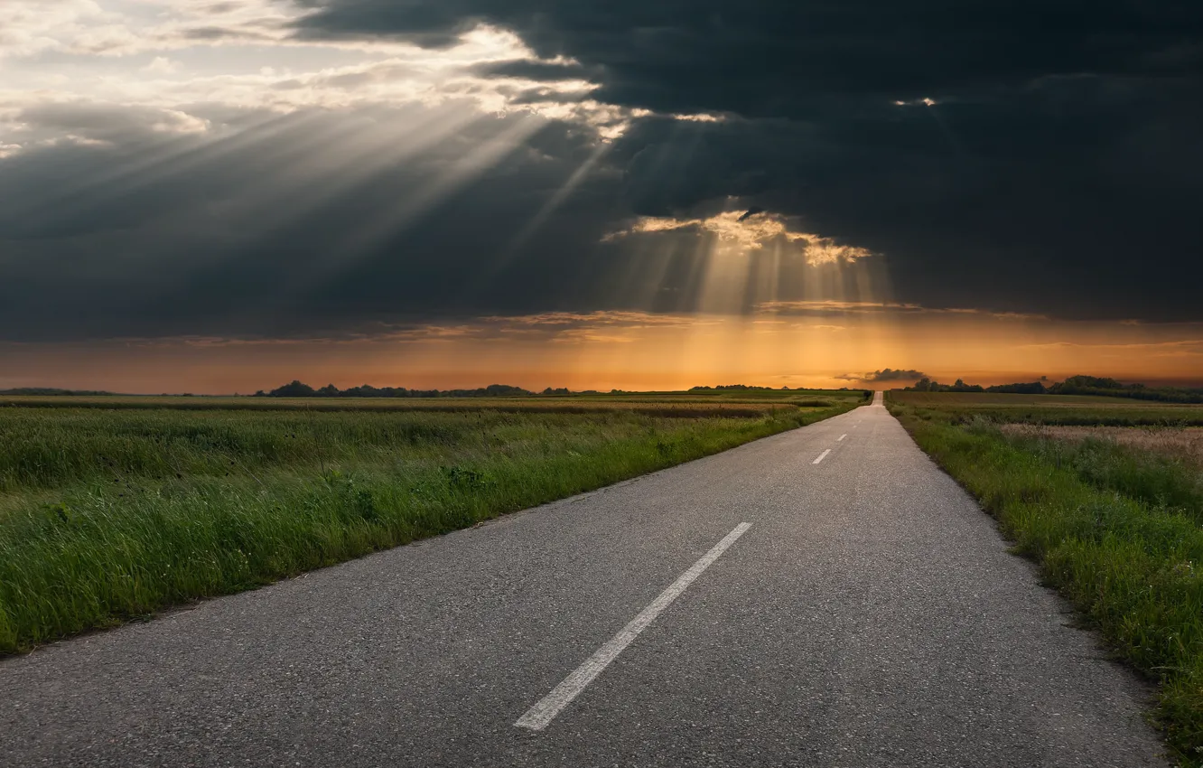 Photo wallpaper road, field, the sun, clouds, horizon, gray clouds