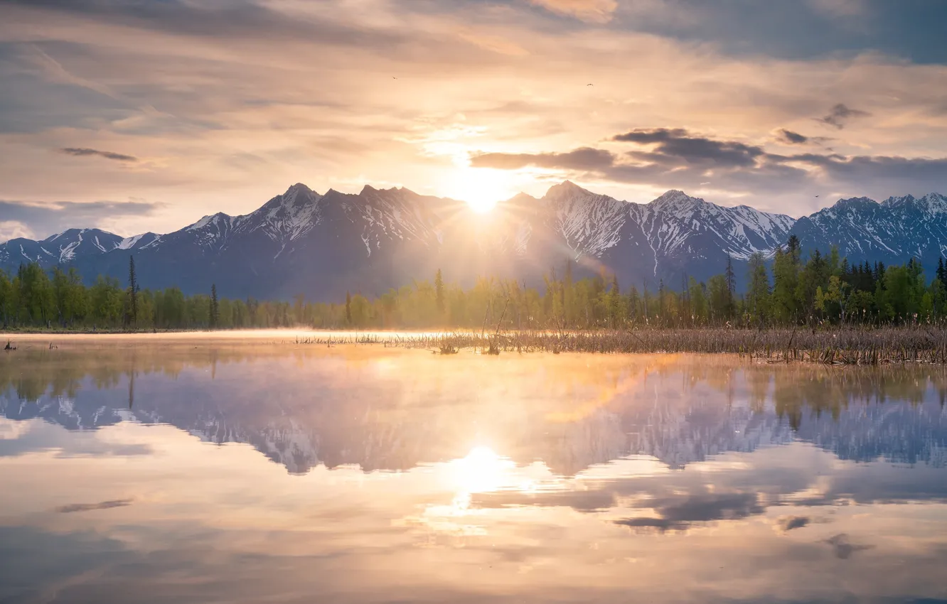 Photo wallpaper forest, the sun, clouds, light, mountains, fog, reflection, shore
