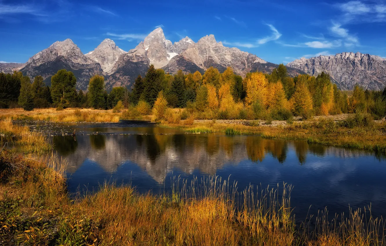 Photo wallpaper autumn, forest, grass, trees, mountains, lake, USA, Sunny
