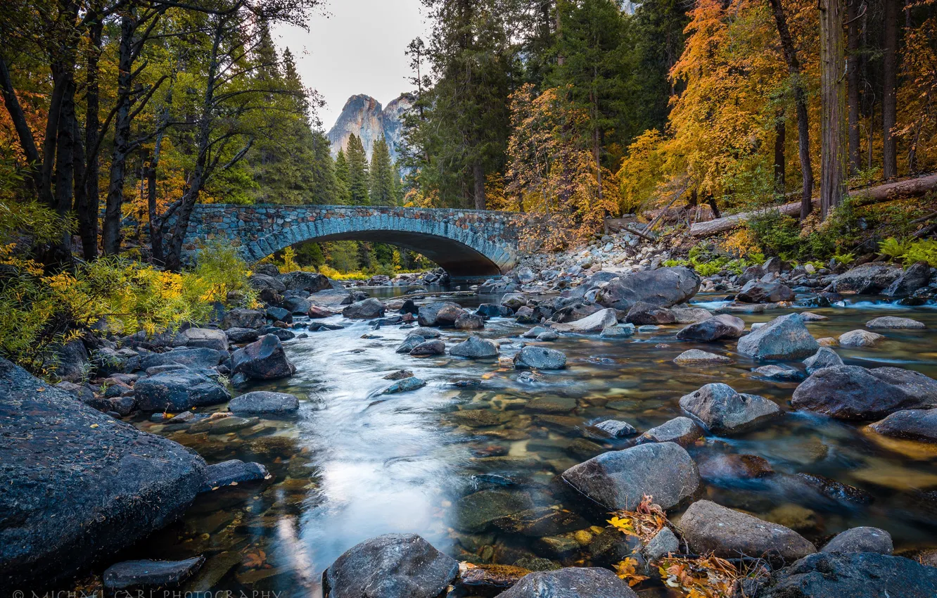 Photo wallpaper autumn, forest, trees, river, stones, CA, California, Yosemite national Park