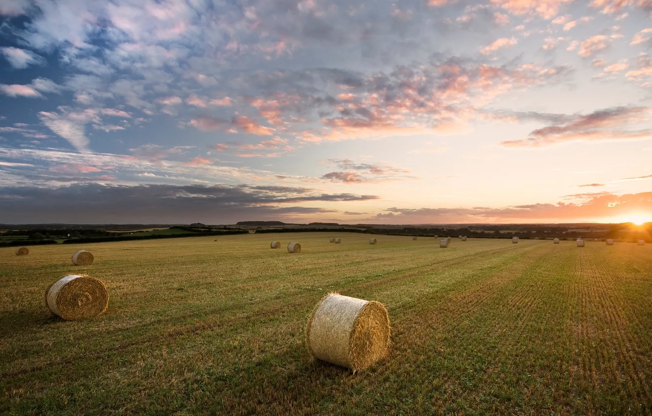 Photo wallpaper field, the sky, the sun, clouds, rays, landscape, sunset, nature