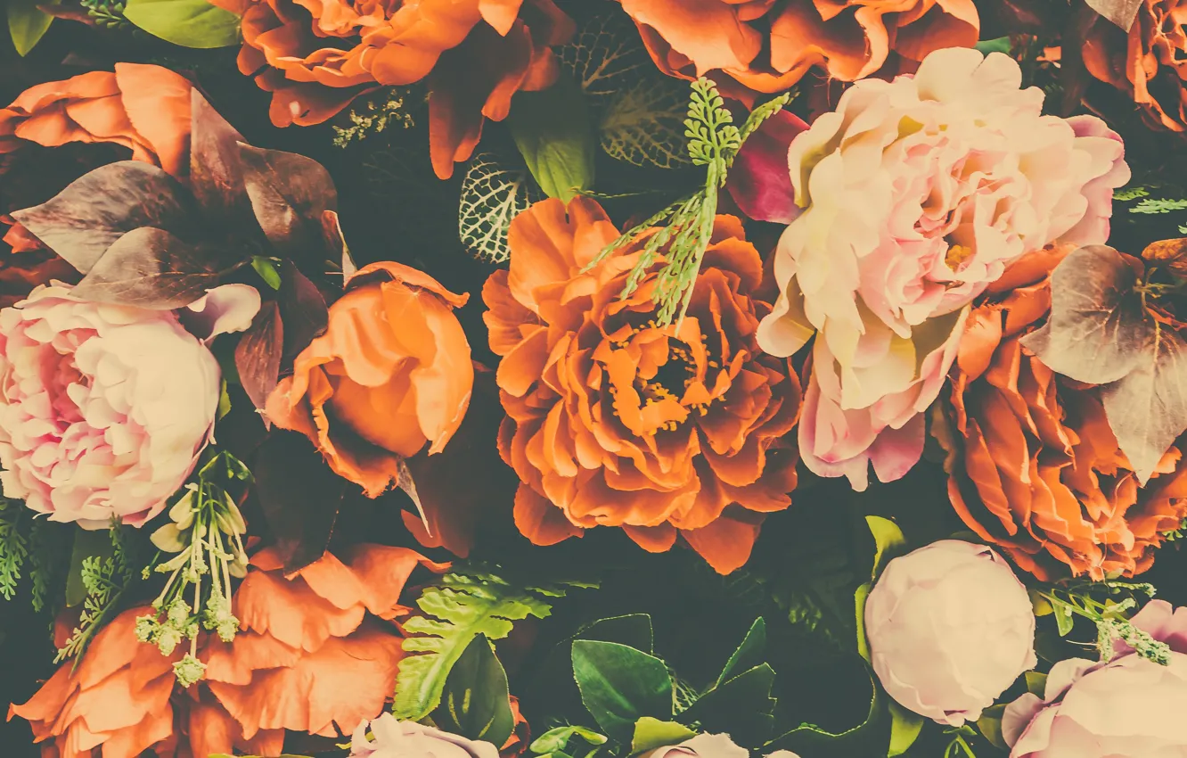 Photo wallpaper flowers, petals, buds, peonies