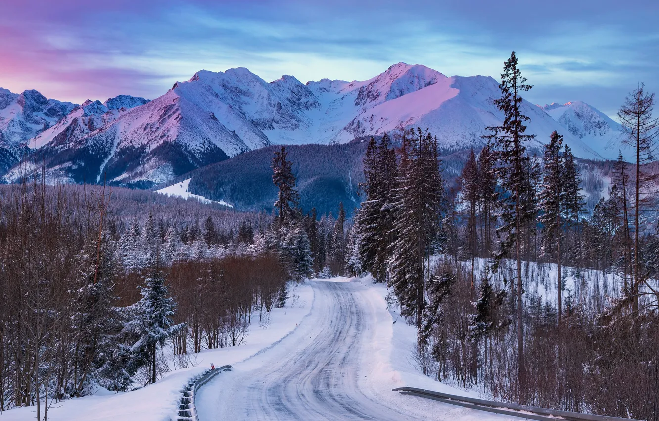 Photo wallpaper winter, road, forest