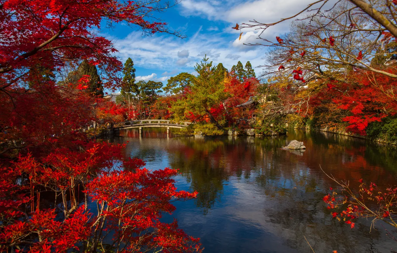 Photo wallpaper autumn, trees, landscape, the city, pond, Park, Japan, the bridge