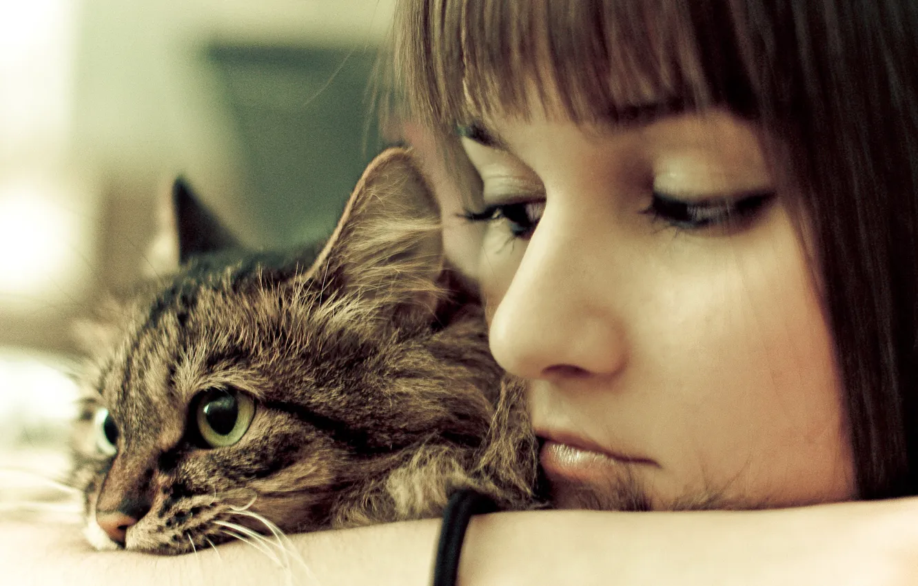 Photo wallpaper cat, girl, sadness