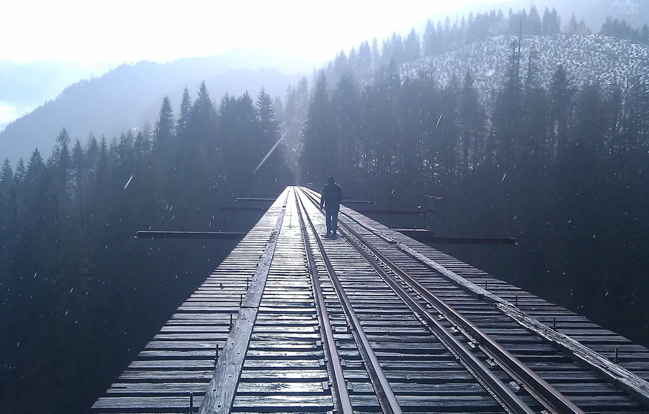 Photo wallpaper road, forest, the way, people, is