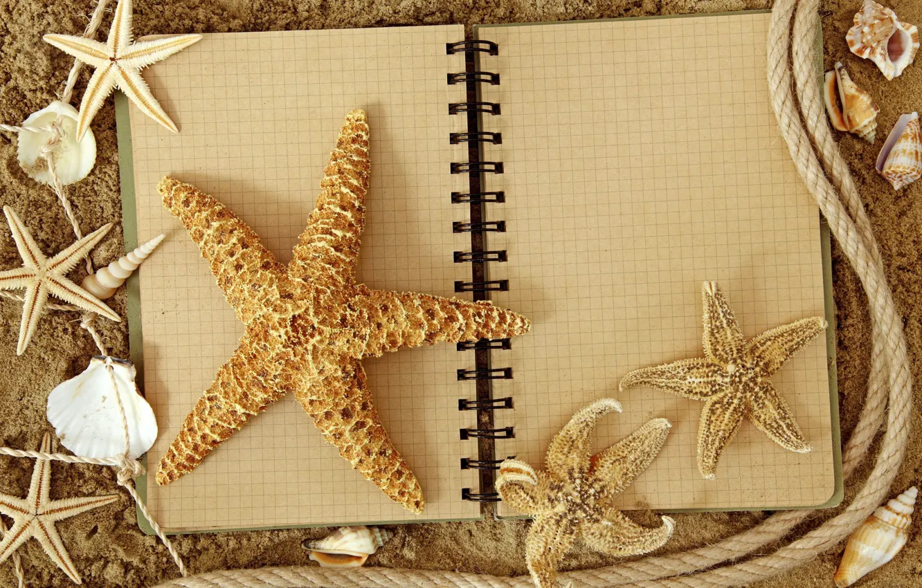 Photo wallpaper sand, stars, rope, Notepad, shell