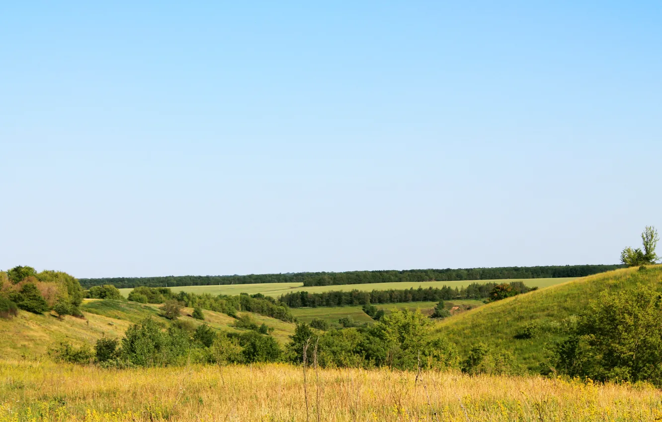 Photo wallpaper greens, summer, hills, the vast expanses of Russia