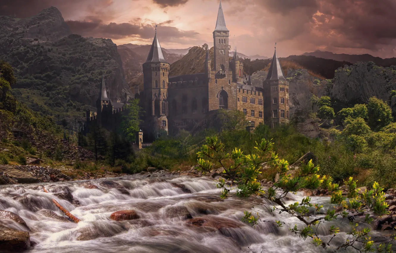 Photo wallpaper forest, summer, the sky, clouds, mountains, branches, nature, fog