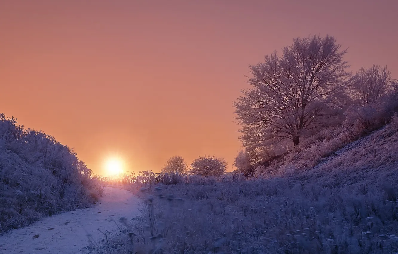 Photo wallpaper cold, winter, sunset