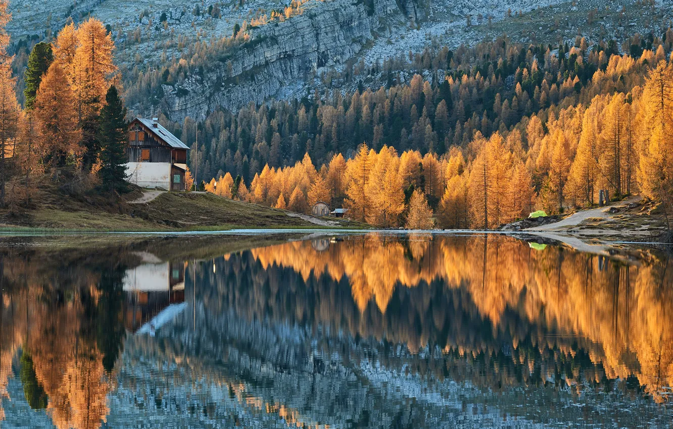 Photo wallpaper forest, trees, autumn, lake, cabin