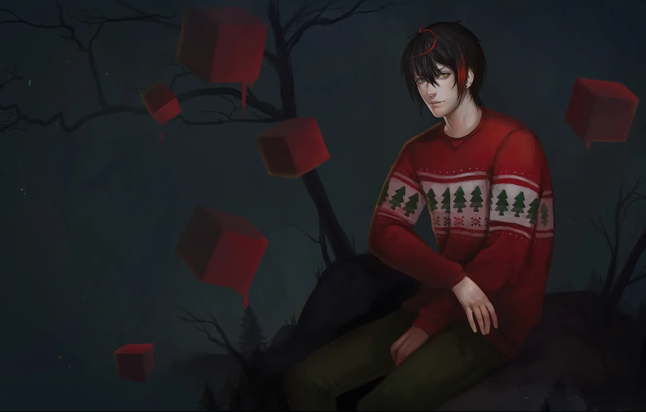 Photo wallpaper guy, Red cubes, sweater, different eyes, heterochromia