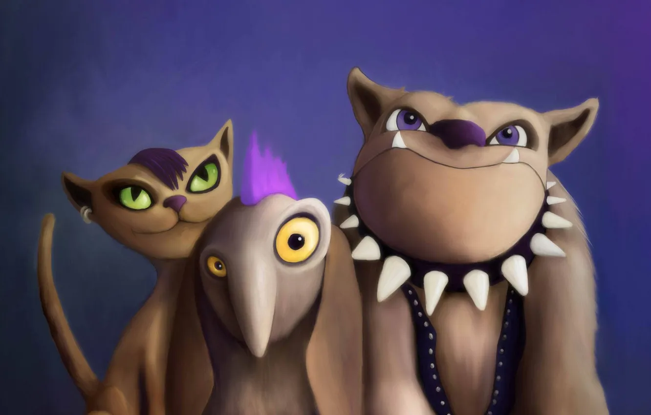 Photo wallpaper purple, eyes, cat, blue, yellow, green, background, each