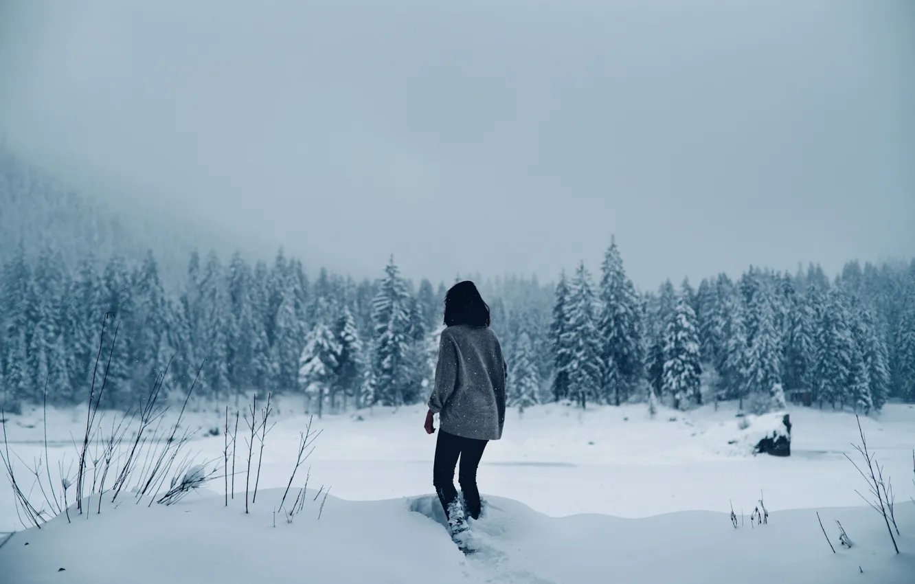 Photo wallpaper Lost, girl, winter, snowing