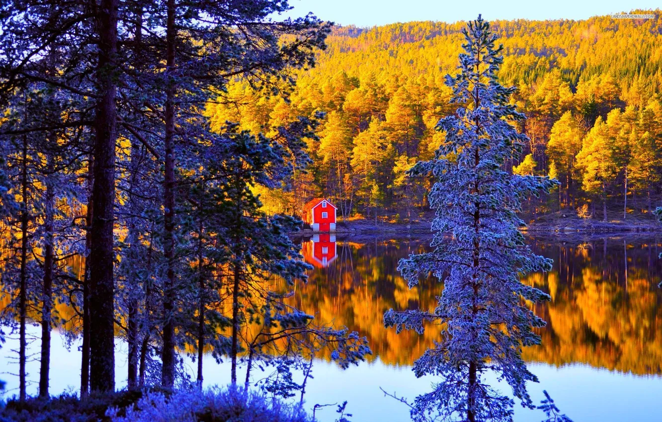 Photo wallpaper autumn, forest, the sky, trees, lake, home