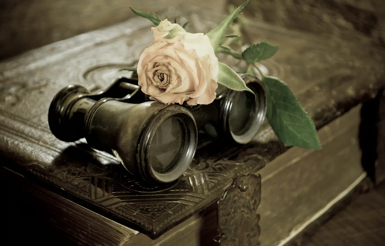 Photo wallpaper flower, rose, binoculars, book