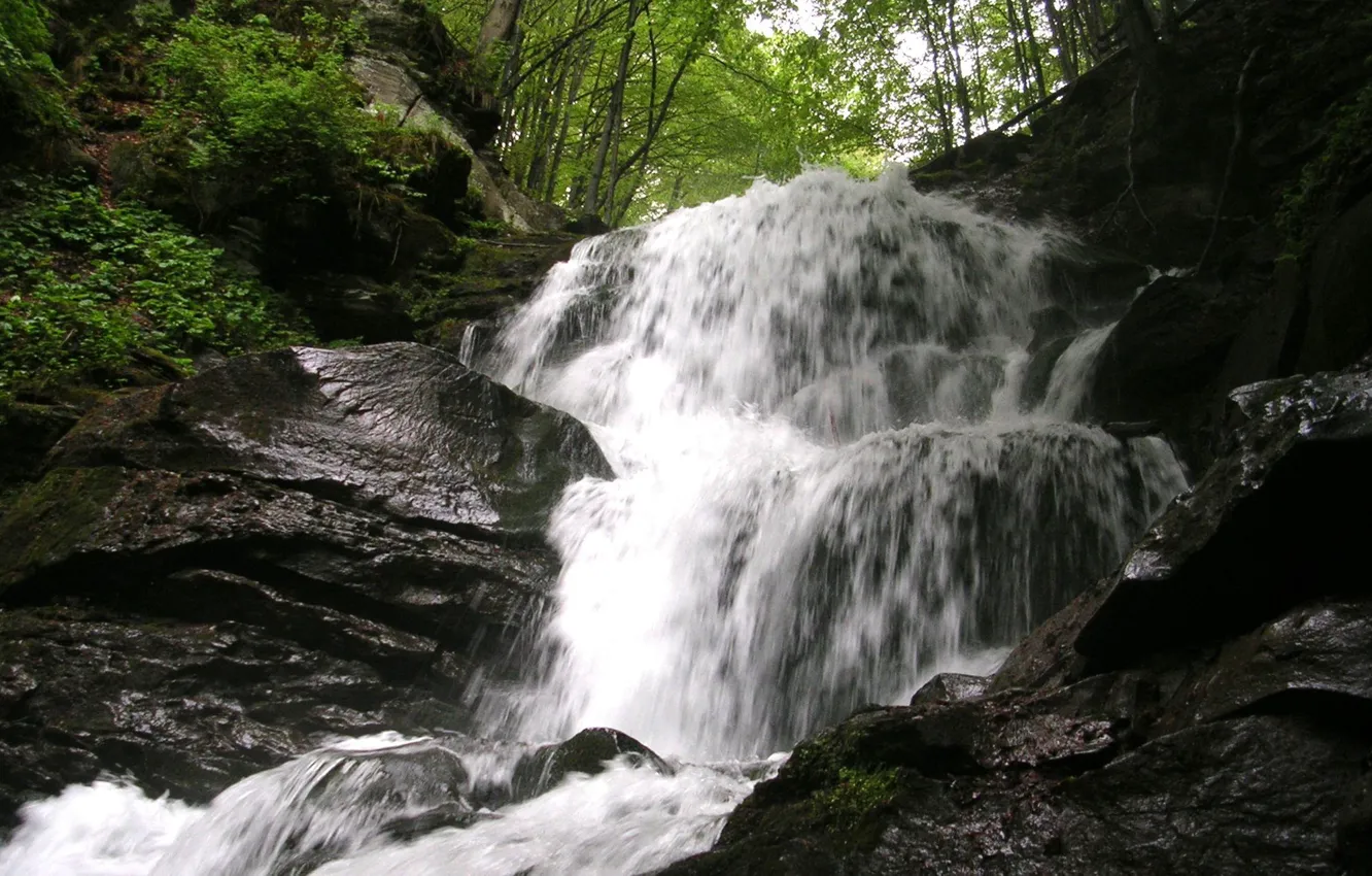 Photo wallpaper waterfall, Ukraine, mountain river, Carpathians