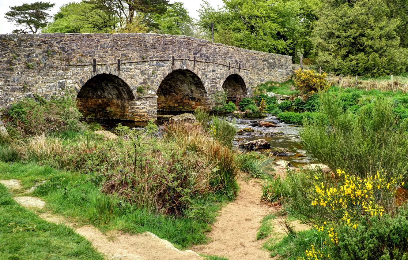 Photo wallpaper trees, bridge, stones, England, Devon, river, the bushes, Postbridge