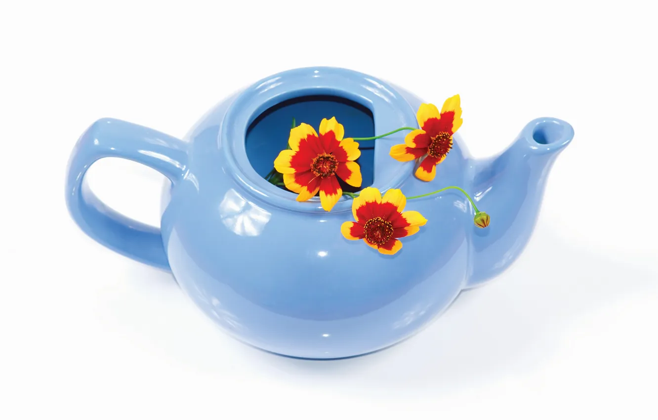 Photo wallpaper flowers, blue, kettle