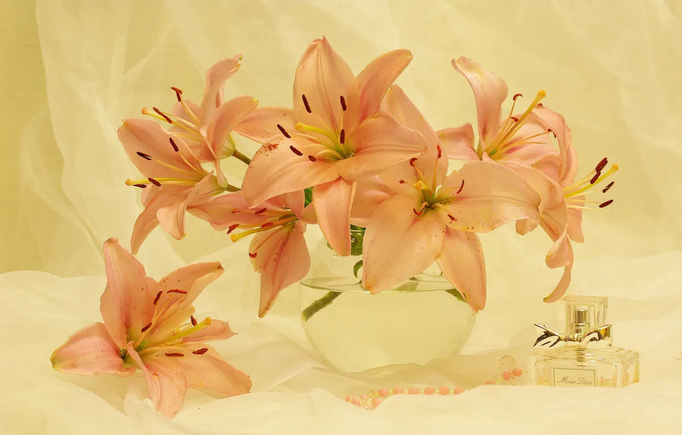 Photo wallpaper summer, flowers, mood, Lily, plant, beauty, bouquet, still life