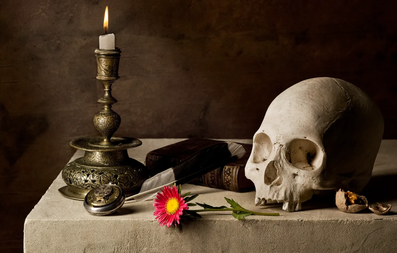 Photo wallpaper skull, candles, book