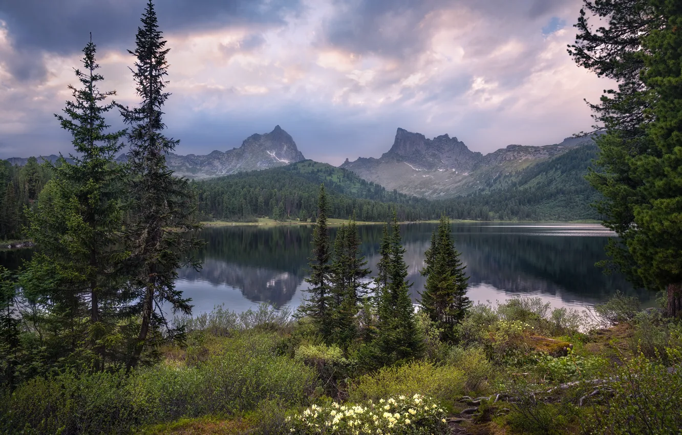 Photo wallpaper forest, the sky, clouds, mountains, fog, lake, reflection, shore