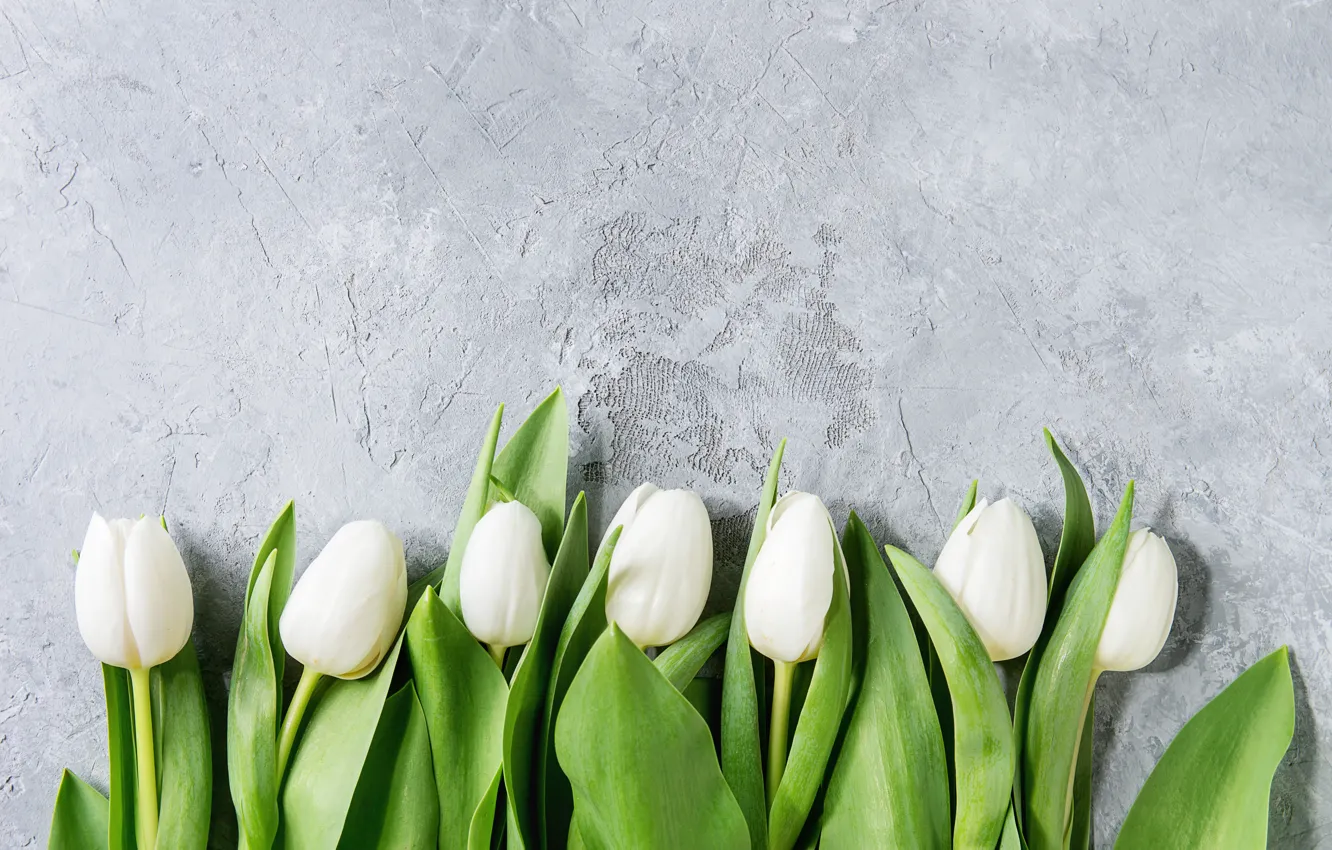 Photo wallpaper leaves, flowers, background, tulips