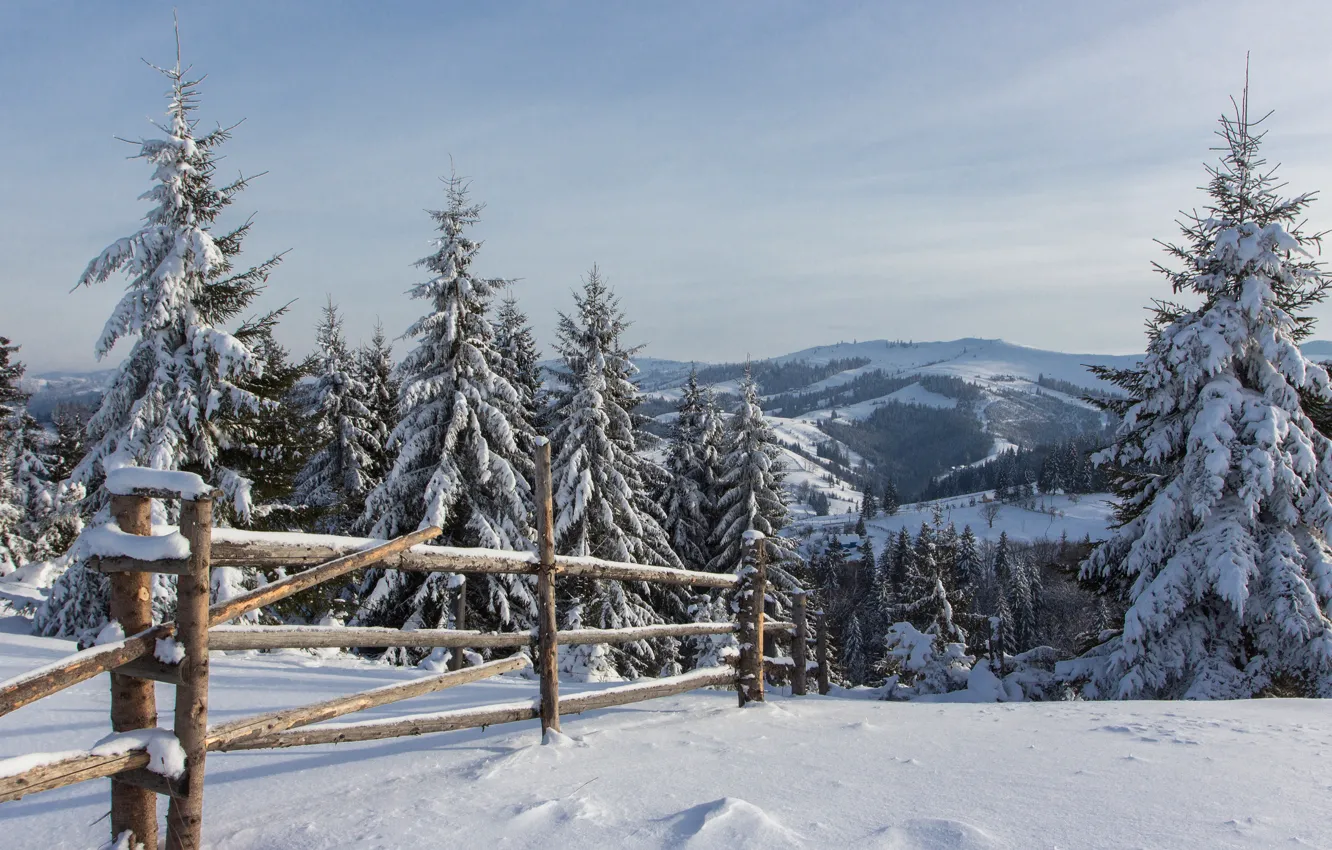 Photo wallpaper winter, frost, forest, the sky, clouds, snow, landscape, mountains