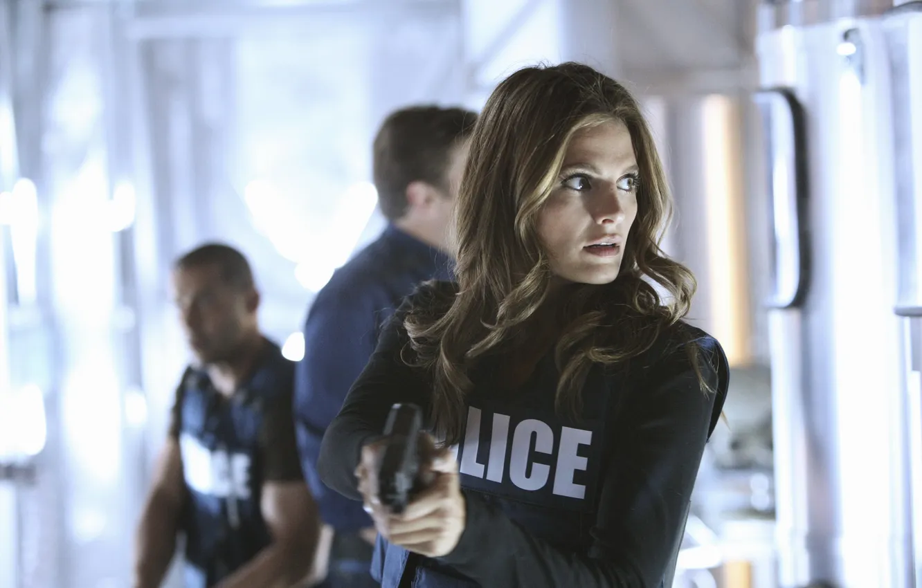 Photo wallpaper weapons, castle, Stana Katic, Mill CATIC, Kate