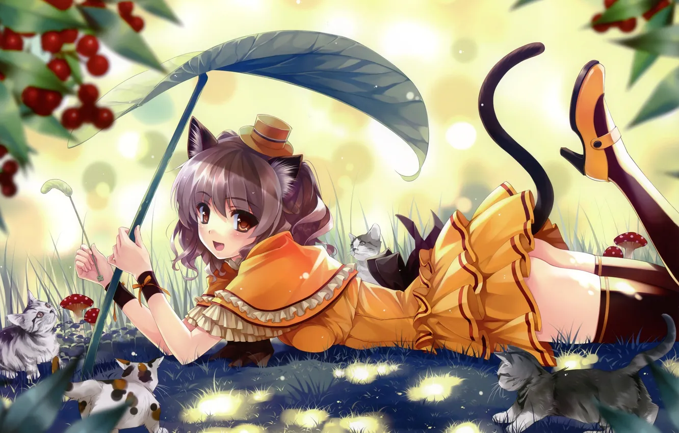 Photo wallpaper forest, cat, leaves, mushrooms, stockings, hat, girl, ears