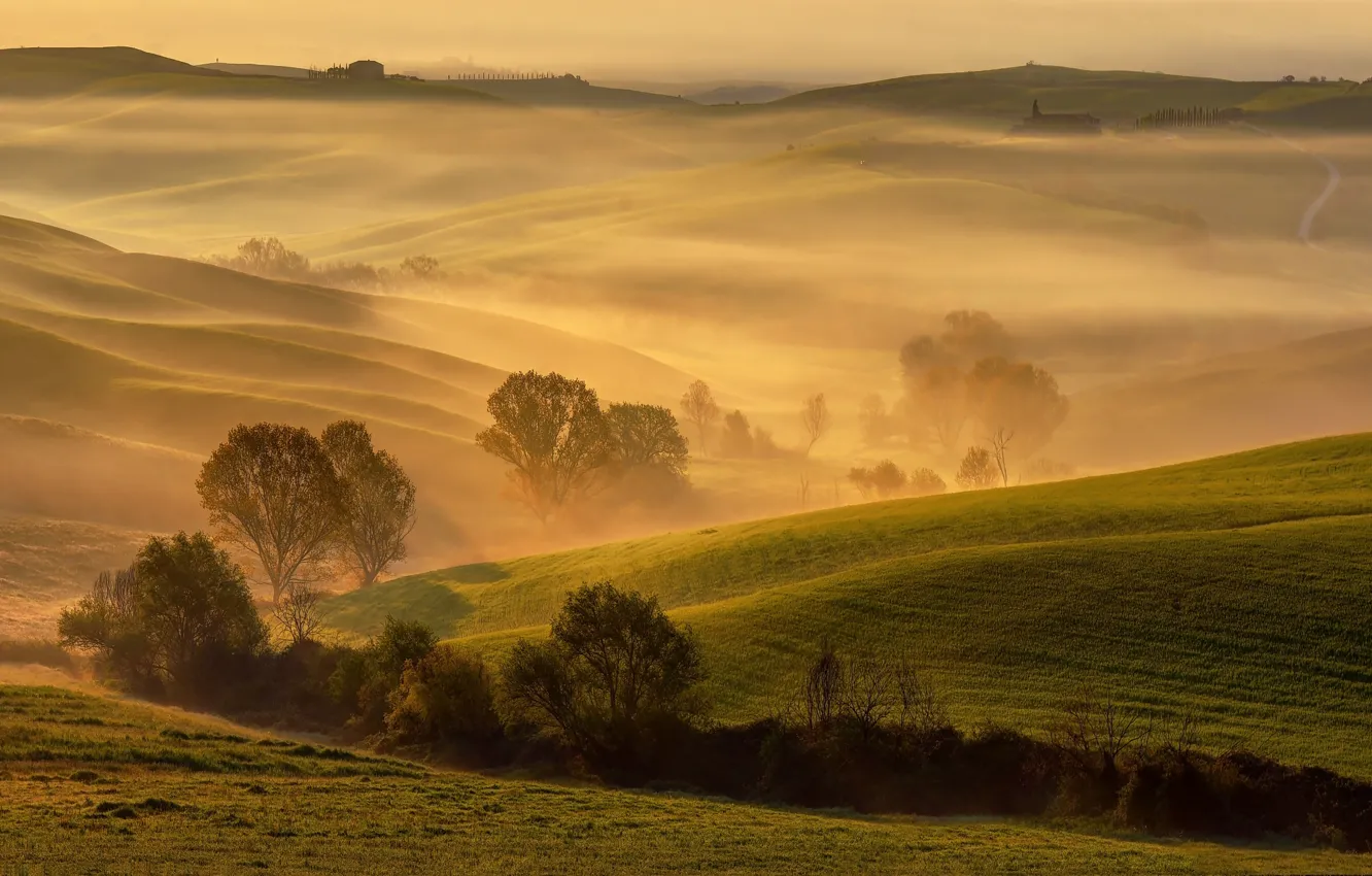 Photo wallpaper spring, morning, Italy, April, Tuscany, Golden light