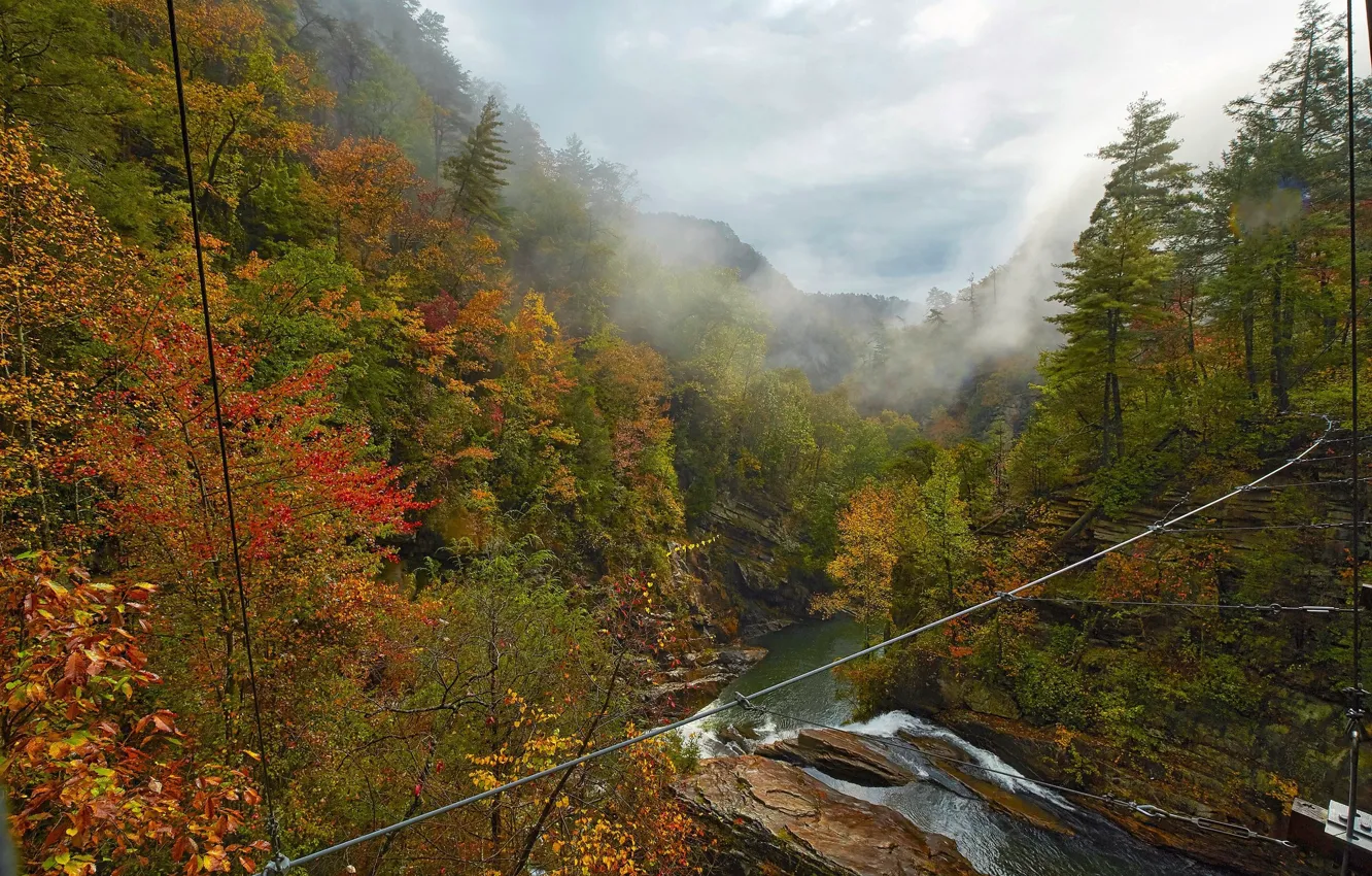 Photo wallpaper autumn, forest, landscape, bridge, nature, beauty, the cable