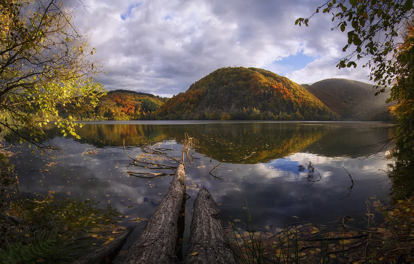 Photo wallpaper autumn, leaves, trees, mountains, lake, reflection, tree, branch