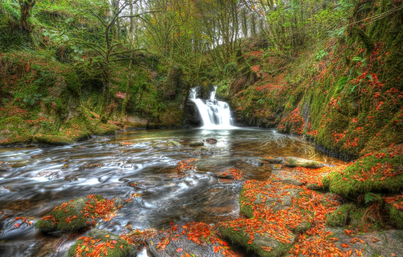 Photo wallpaper autumn, forest, leaves, river, stones, waterfall, Ireland, Ireland