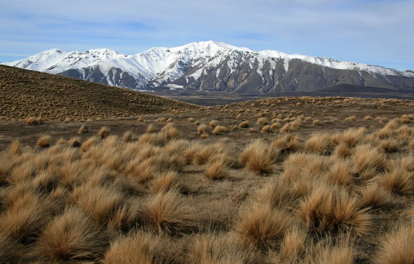 Photo wallpaper grass, landscape, mountains, nature, the steppe